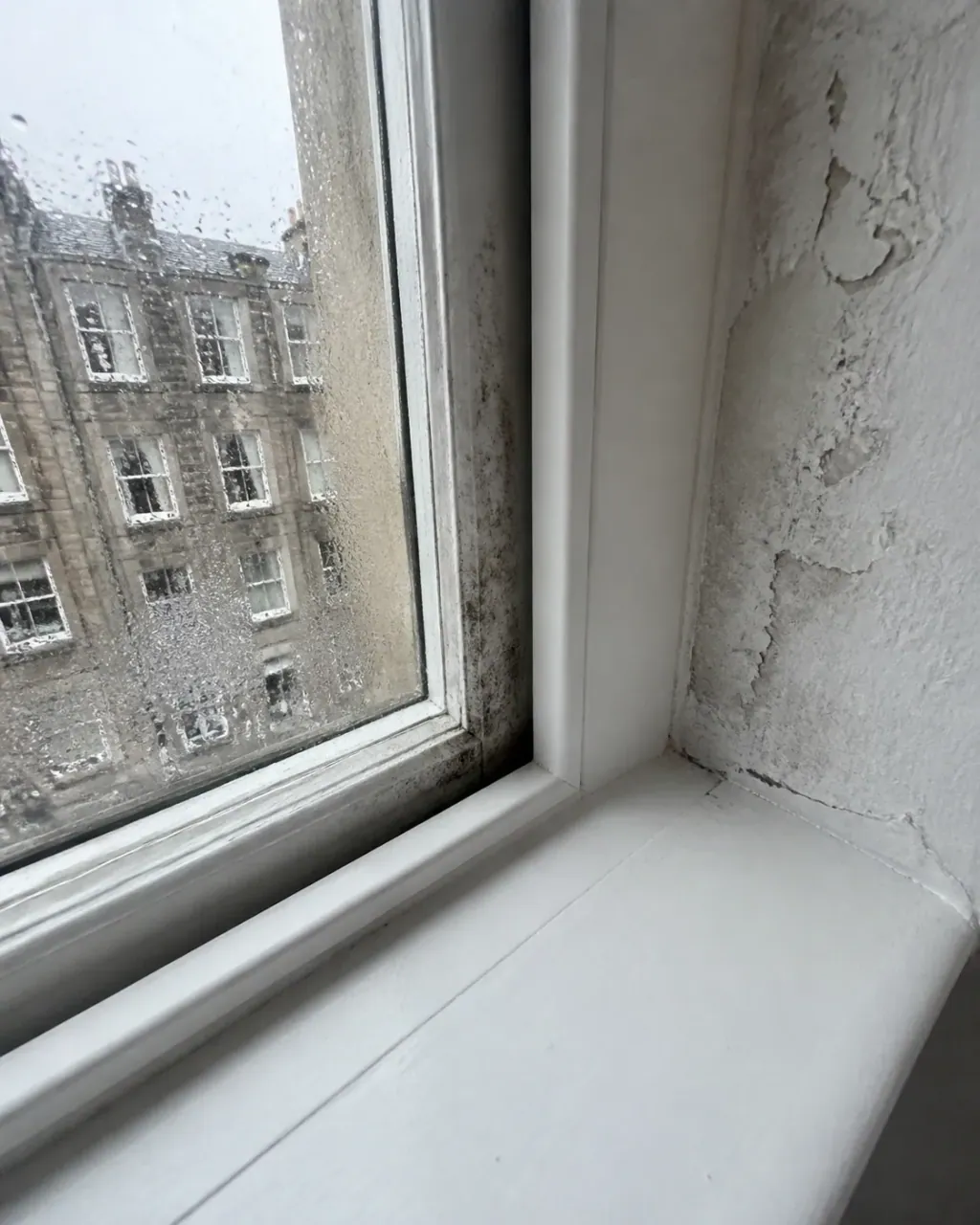 Severe mould removal across Edinburgh.